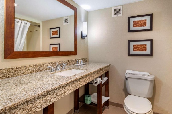 Comfort Inn Biltmore West image 13