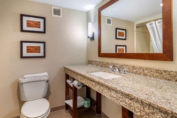 Comfort Inn Biltmore West image 21