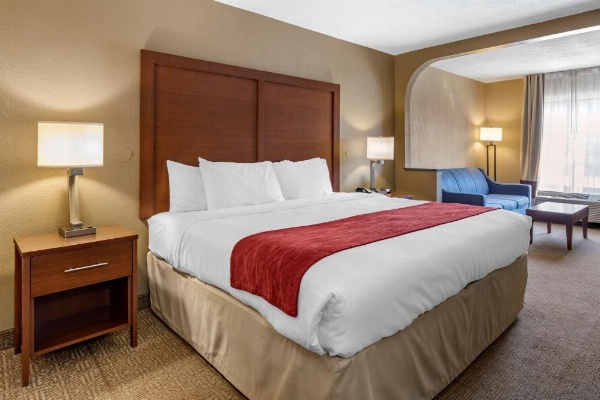 Comfort Inn Biltmore West image 22